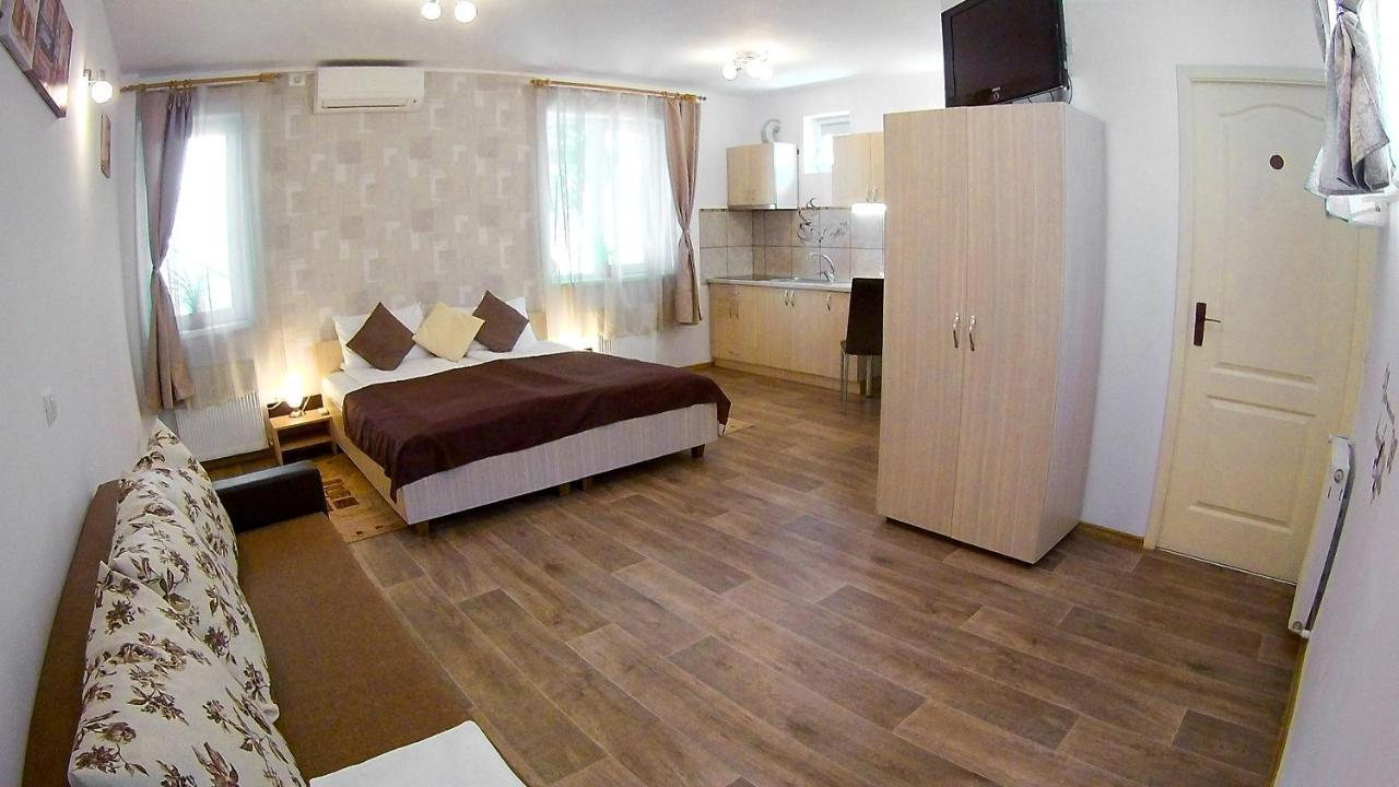 Nice&Cozy Apartments Timișoara Zewnętrze zdjęcie