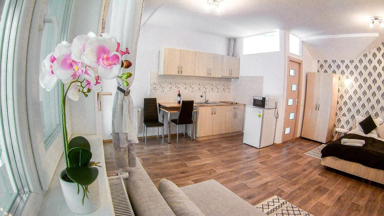 Nice&Cozy Apartments Timișoara Zewnętrze zdjęcie